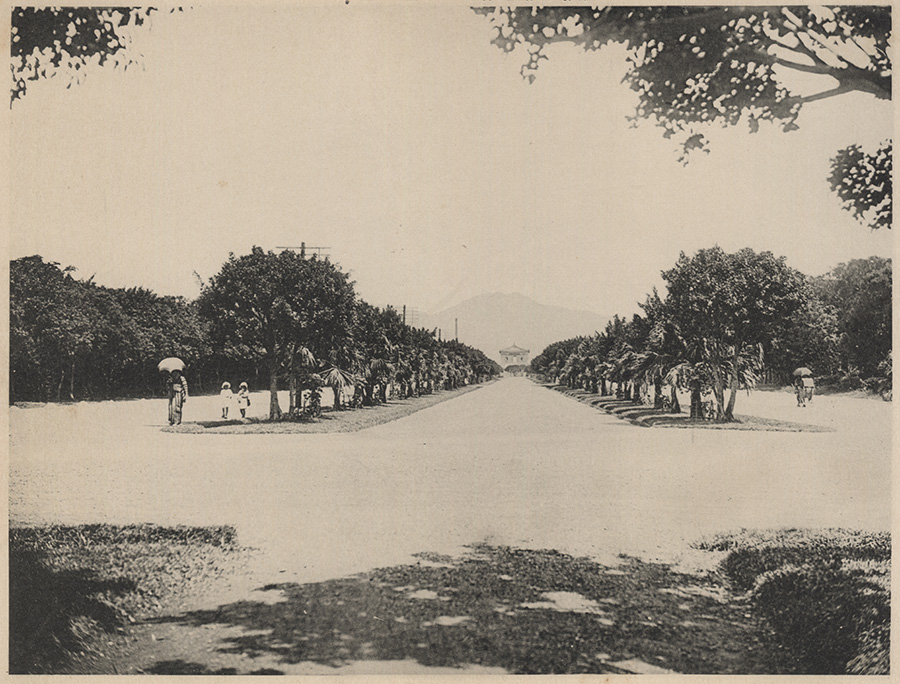 1911年12月30日，臺北三線道路植樹及相關工程啟動。